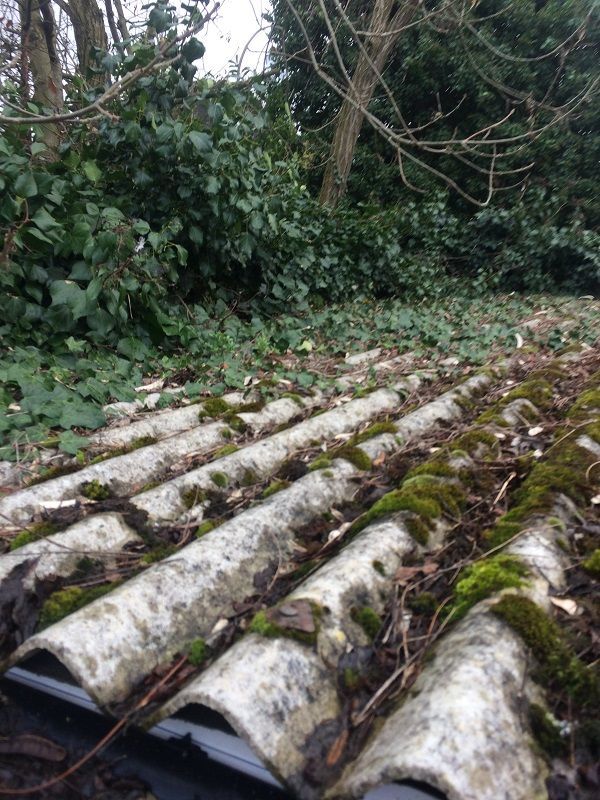 Asbestos Garage Roof Surrey